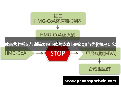 体育营养搭配与训练表现下降的饮食问题识别与优化机制研究